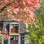 Centre Gare 3 Etoiles Lourdes