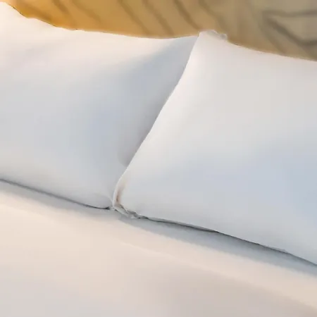 Hotel Centre Lourdes